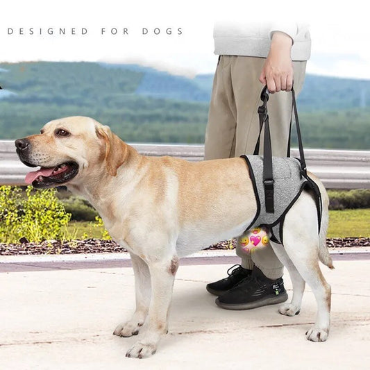 Annie Care Dog Leg Support Harness: Gentle Assistance for Elderly Disabled Dogs - Annie Paw WearNursing & ReliefAnniePaw Wear