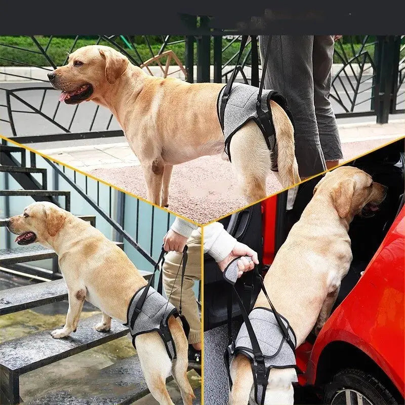 Annie Care Dog Leg Support Harness: Gentle Assistance for Elderly Disabled Dogs - Annie Paw WearNursing & ReliefAnniePaw Wear