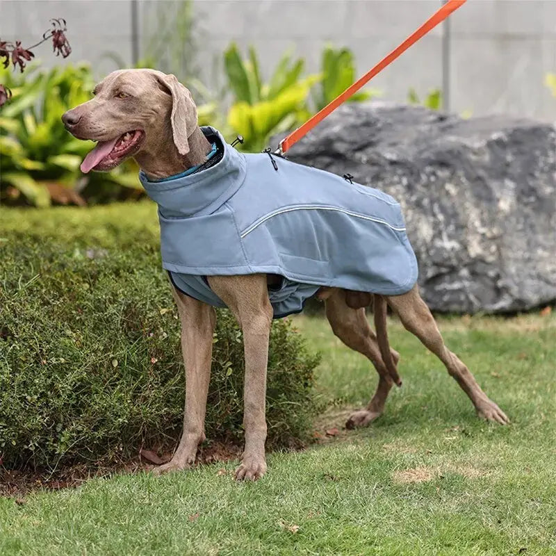 Aurora Elite Waterproof Windbreaker Coat - Annie Paw WearWinter OutwearAnniePaw Wear