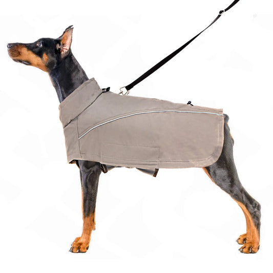 Aurora Elite Waterproof Windbreaker Coat - Annie Paw WearWinter OutwearAnniePaw Wear
