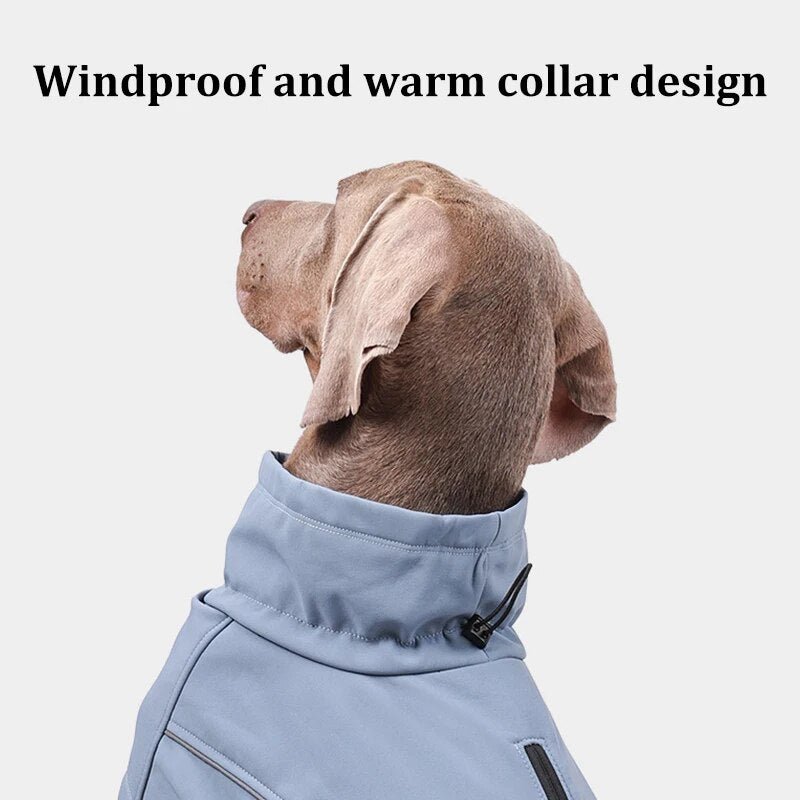 Aurora Elite Waterproof Windbreaker Coat - Annie Paw WearWinter OutwearAnniePaw Wear