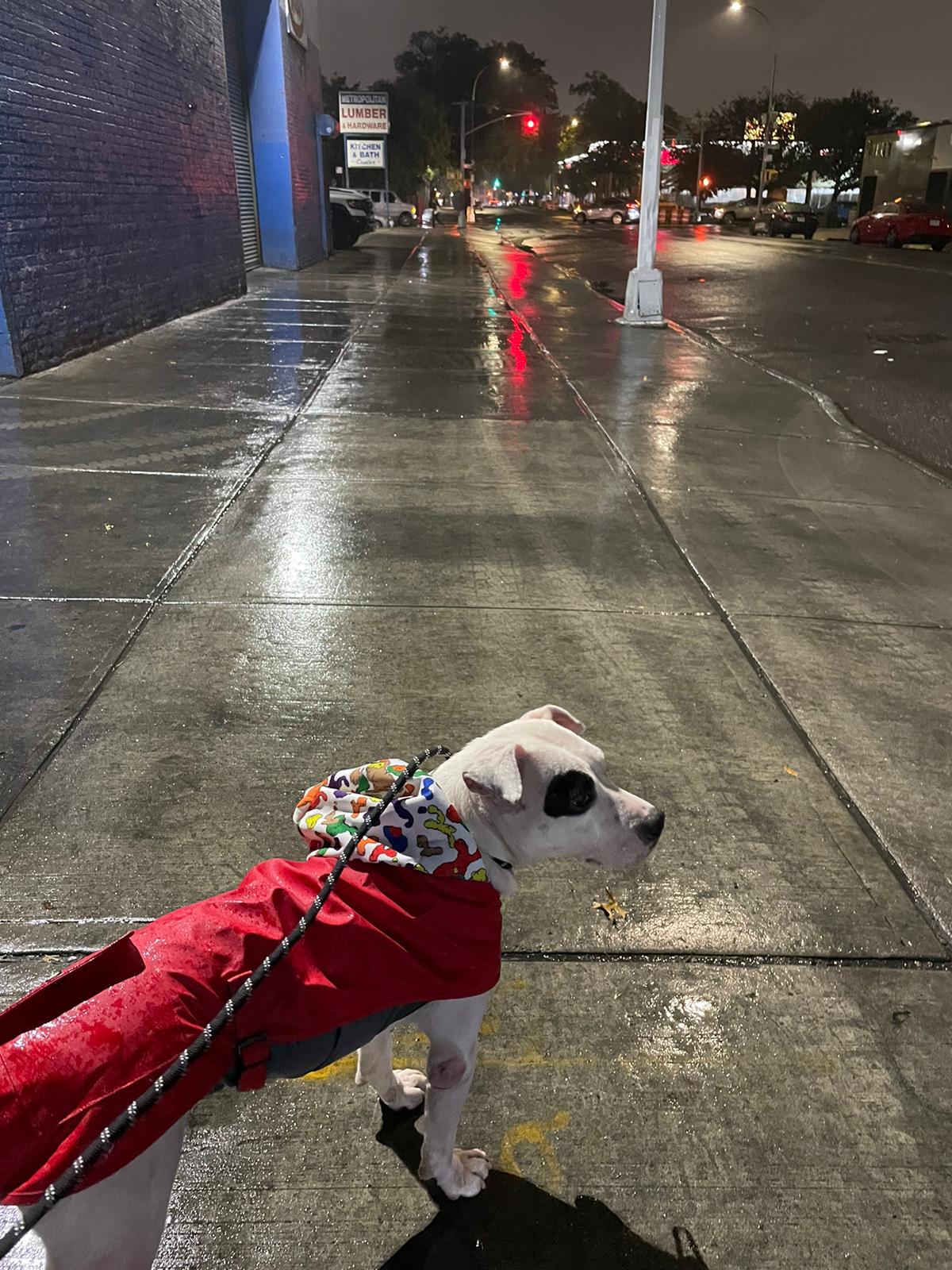 Aurora Paws NatureShield Chic Dog Waterproof Raincoat - Annie Paw WearRaincoatAnniePaw Wear