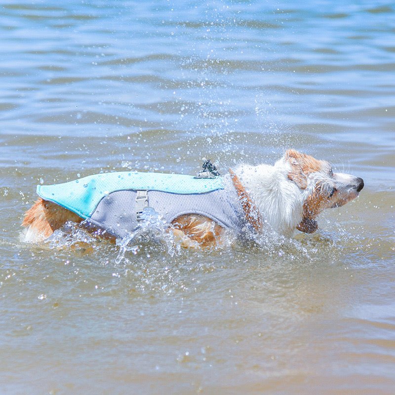 Brooklyn Breeze Cooling Doggy Top - Annie Paw WearSummer OutwearAnniePaw Wear