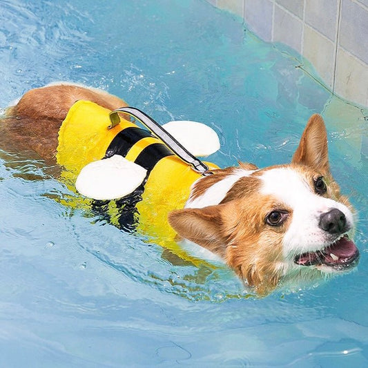 Buzzy Bee Multi-Function Swimming Life Jacket - Annie Paw WearOutdoor WearAnniePaw Wear