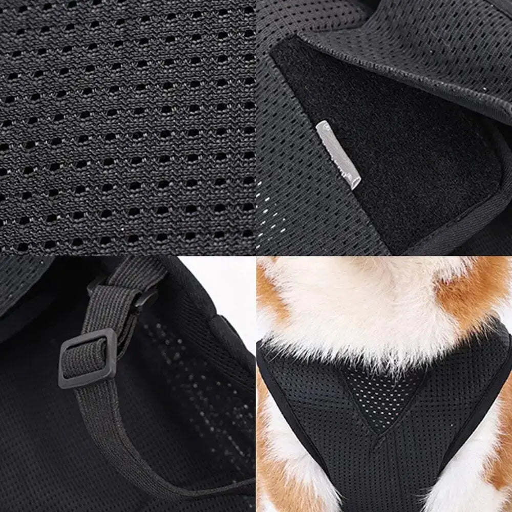 CareTech Back Support Brace Comfort Vest for Dogs of All Sizes - Annie Paw WearNursing & ReliefAnniePaw Wear