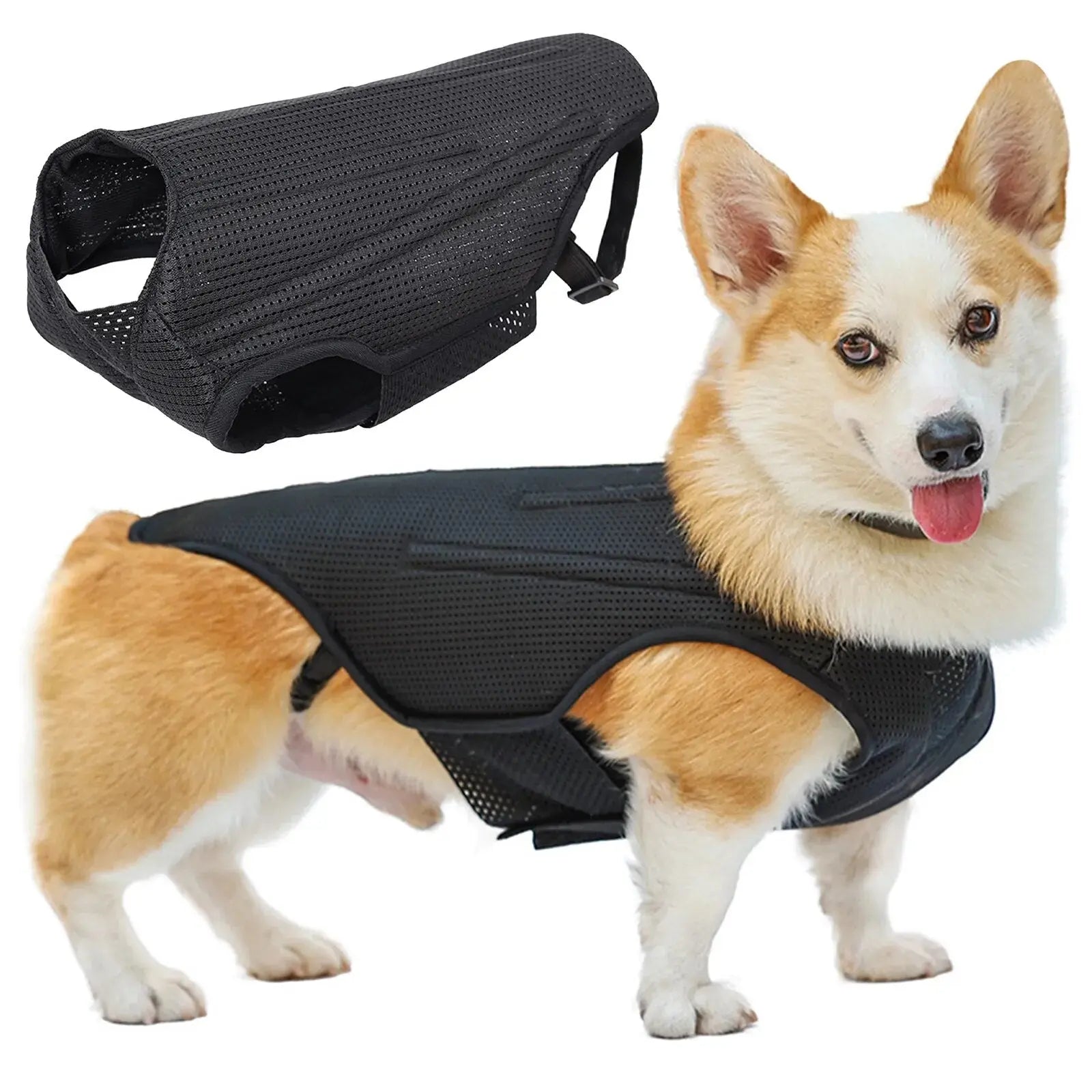 CareTech Back Support Brace Comfort Vest for Dogs of All Sizes - Annie Paw WearNursing & ReliefAnniePaw Wear