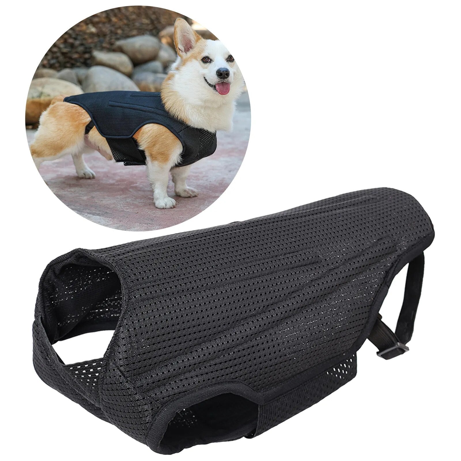 CareTech Back Support Brace Comfort Vest for Dogs of All Sizes - Annie Paw WearNursing & ReliefAnniePaw Wear