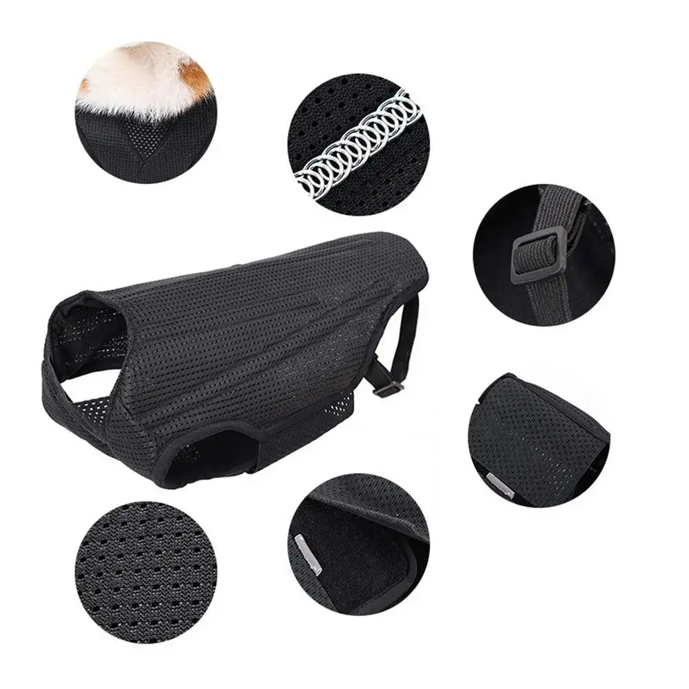 CareTech Back Support Brace Comfort Vest for Dogs of All Sizes - Annie Paw WearNursing & ReliefAnniePaw Wear