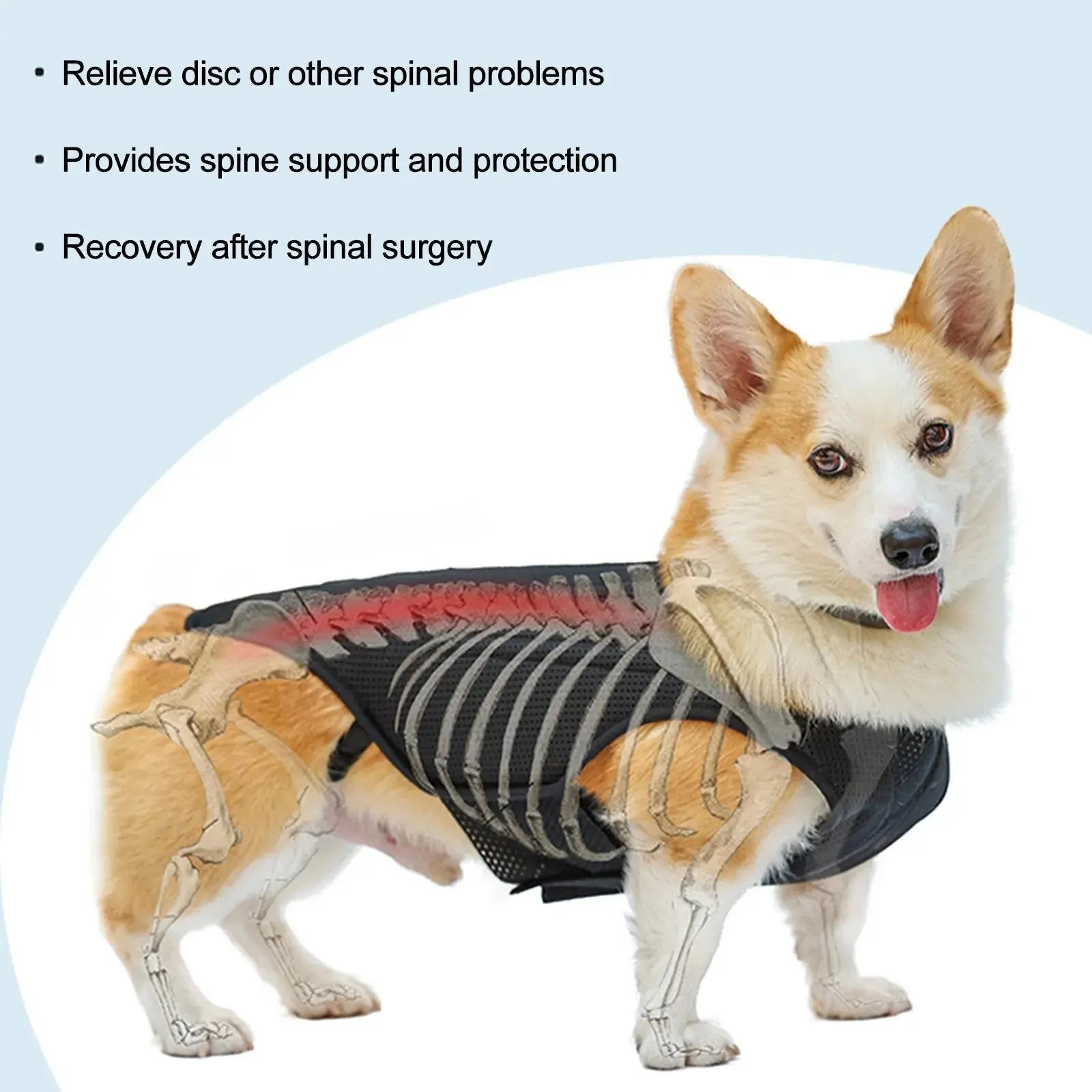 CareTech Back Support Brace Comfort Vest for Dogs of All Sizes - Annie Paw WearNursing & ReliefAnniePaw Wear
