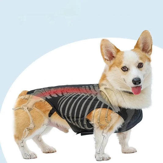 CareTech Back Support Brace Comfort Vest for Dogs of All Sizes - Annie Paw WearNursing & ReliefAnniePaw Wear