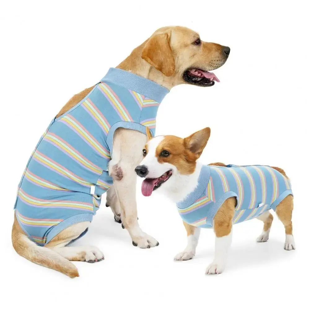 CareTech Dog Healing Recovery Suit: Comfortable Sterilization - Annie Paw WearNursing & ReliefAnniePaw Wear