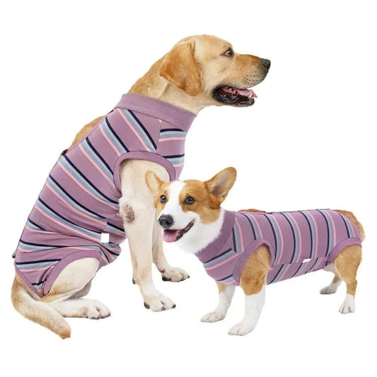 CareTech Dog Healing Recovery Suit: Comfortable Sterilization - Annie Paw WearNursing & ReliefAnniePaw Wear