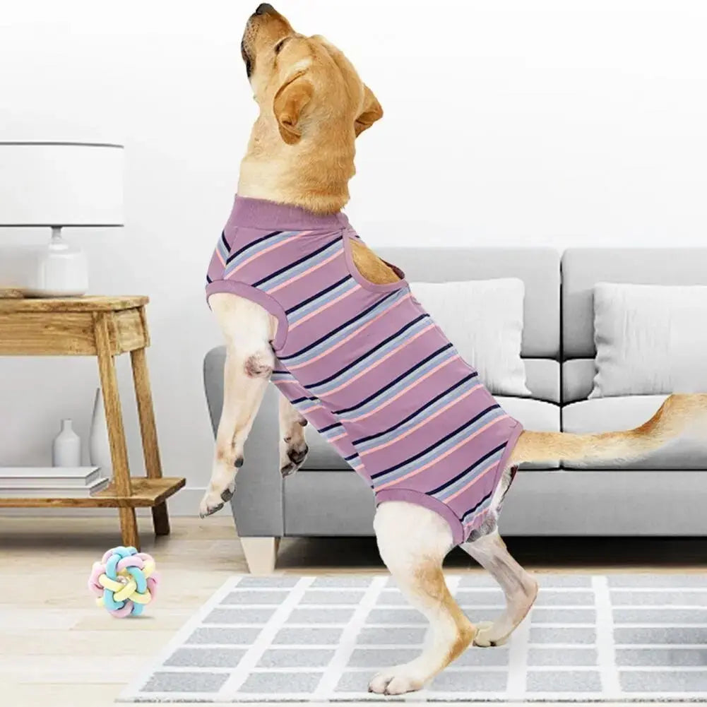 CareTech Dog Healing Recovery Suit: Comfortable Sterilization - Annie Paw WearNursing & ReliefAnniePaw Wear