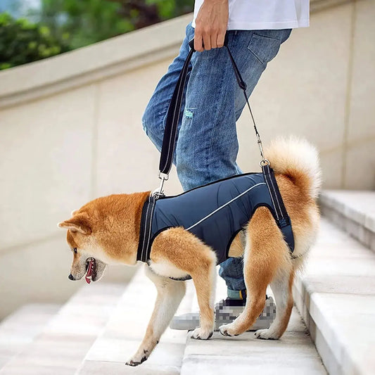 CareTech Dogs Walking Support Harness Recovery Aid for Small Medium Dogs - Annie Paw WearNursing & ReliefAnniePaw Wear