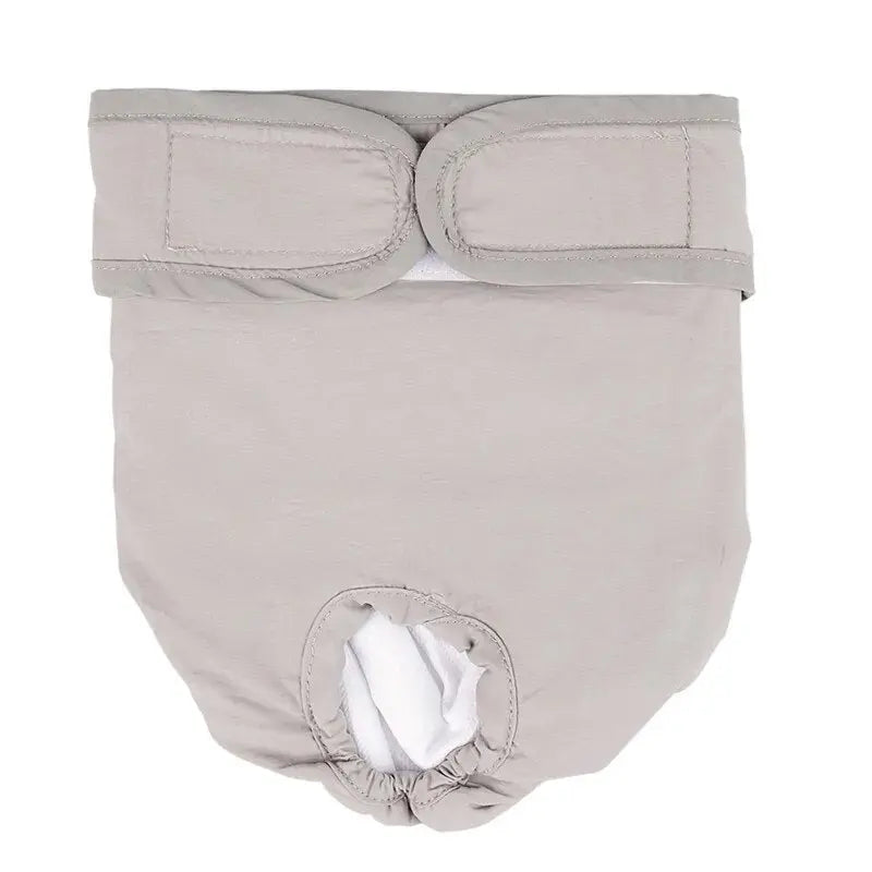 CareTech Pet Physiological Underwear: Sanitary and Washable Dog Panties - Annie Paw WearNursing & ReliefAnniePaw Wear