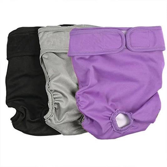 CareTech Pet Physiological Underwear: Sanitary and Washable Dog Panties - Annie Paw WearNursing & ReliefAnniePaw Wear
