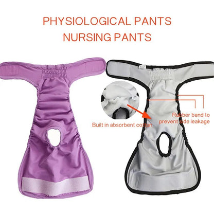 CareTech Pet Physiological Underwear: Sanitary and Washable Dog Panties - Annie Paw WearNursing & ReliefAnniePaw Wear