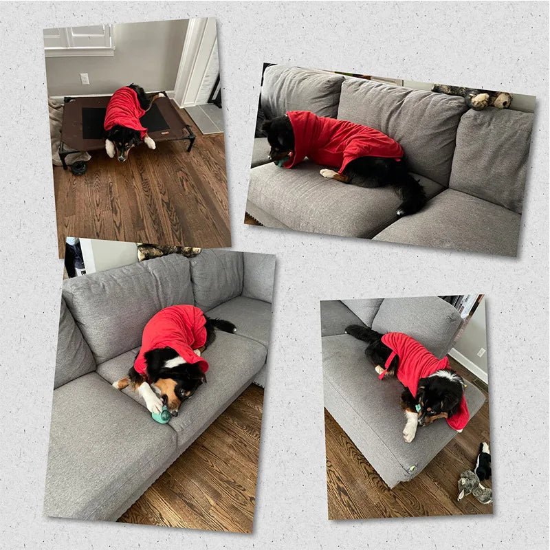 Dog Bathrobe Towel Bath Robe Pet Bathrobe Drying Coat Absorbent Towel For Large Medium Small Dog Super Fast Dry Soft Adjustable - Annie Paw WearHome Dog AccessoriesAnnie Paw Wear