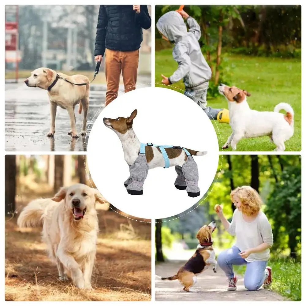 Dog Boot Waterproof Leggings For Paw Protection Dog Snow boots For Winter Dirty-Proof Anti-Fall Dog Outdoor Walking Supplies - Annie Paw WearShoes &Boots &SocksAnnie Paw Wear