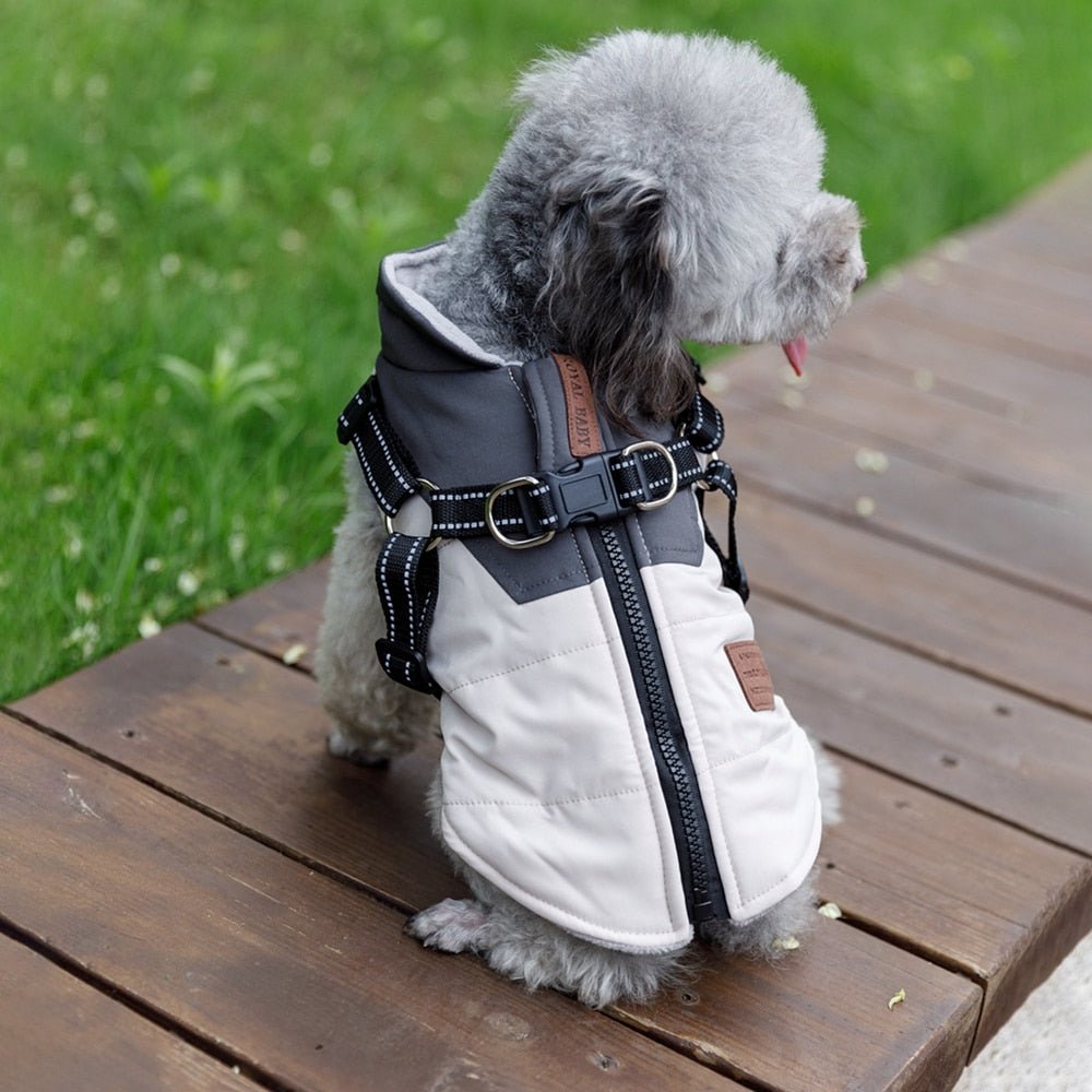 Dog Jacket with Harness Winter Warm Waterproof Coat for Small Large Dogs Chihuahua French Bulldog Outfits - Annie Paw WearWinter OutwearAnniePaw Wear