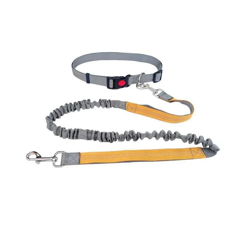 Dog Leash Nylon Hand Freely Dogs Harness Collar Jogging Running Lead Adjustable Waist Leashes Traction Belt Rope Pet Products - Annie Paw WearCollar & LeashAnniePaw Wear