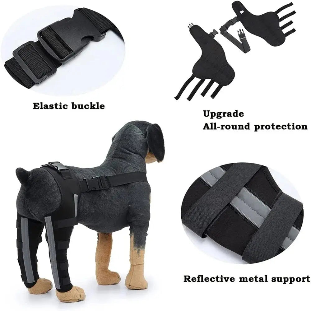 Dog Leg Recovery Braces Support: Quality Care for Canine Leg Health - Annie Paw WearNursing & ReliefAnniePaw Wear