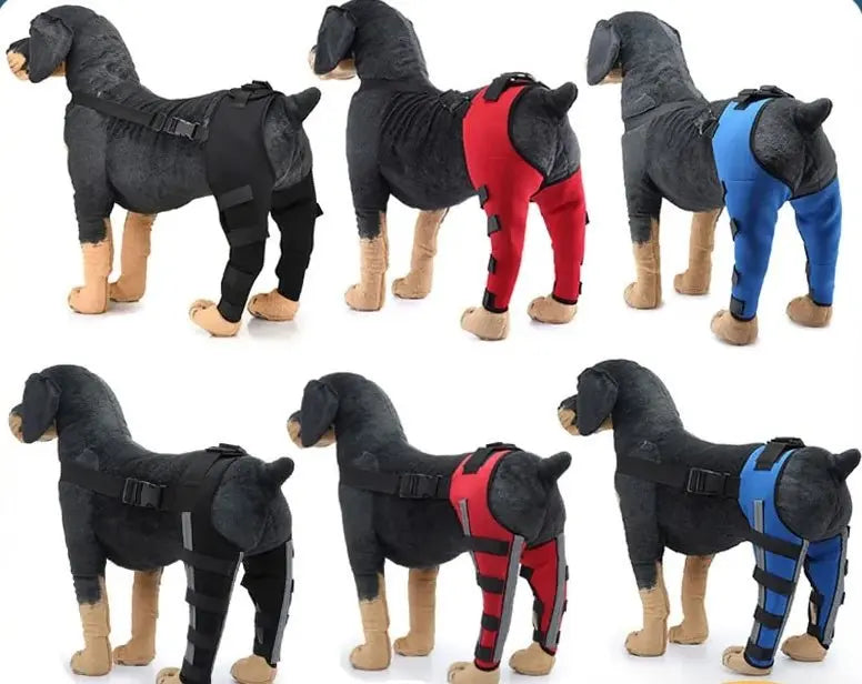 Dog Leg Recovery Braces Support: Quality Care for Canine Leg Health - Annie Paw WearNursing & ReliefAnniePaw Wear