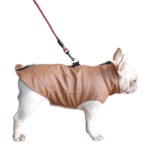 Dog Winter Waterproof Windbreaker Harness Leather Coats For Small to Large Dogs - Annie Paw WearWinter OutwearAnniePaw Wear