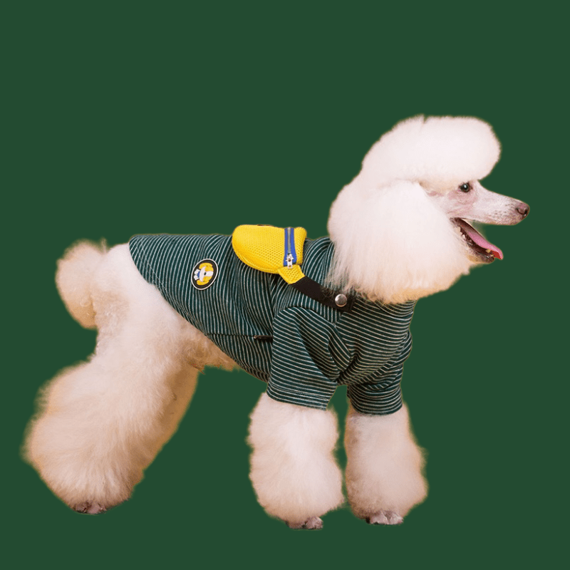 Friends__ark Slope Comfortable Elastic Sweater: Flexible Sizing with Bag for All-Day Wear - Annie Paw WearSummer OutwearAnniePaw Wear