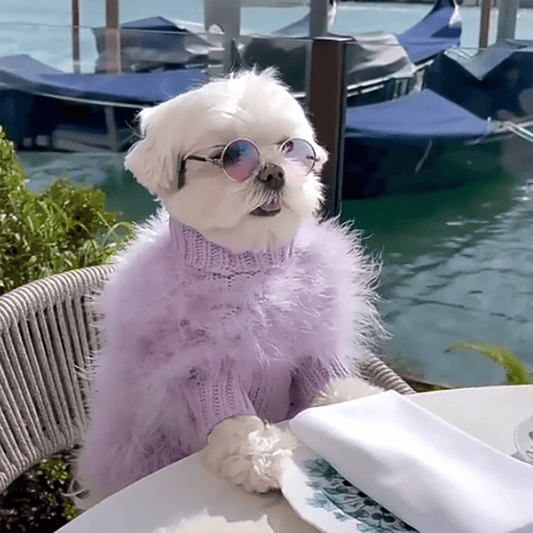 Fur Dog Coat Autumn and Winter Warmth Luxury French bulldog Pug Bichon Dog Sweater Pet Warm Core Yarn Pet Clothes - Annie Paw WearWinter OutwearAnnie Paw Wear