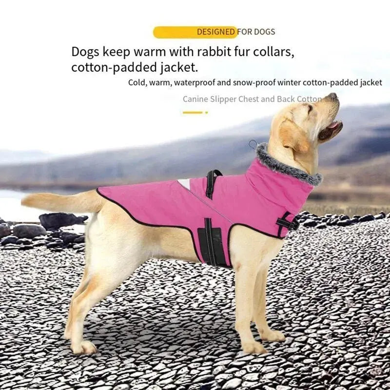 Furry Collar Winter Waterproof Snowproof Windbreaker Harness Coats - Annie Paw WearWinter OutwearAnniePaw Wear