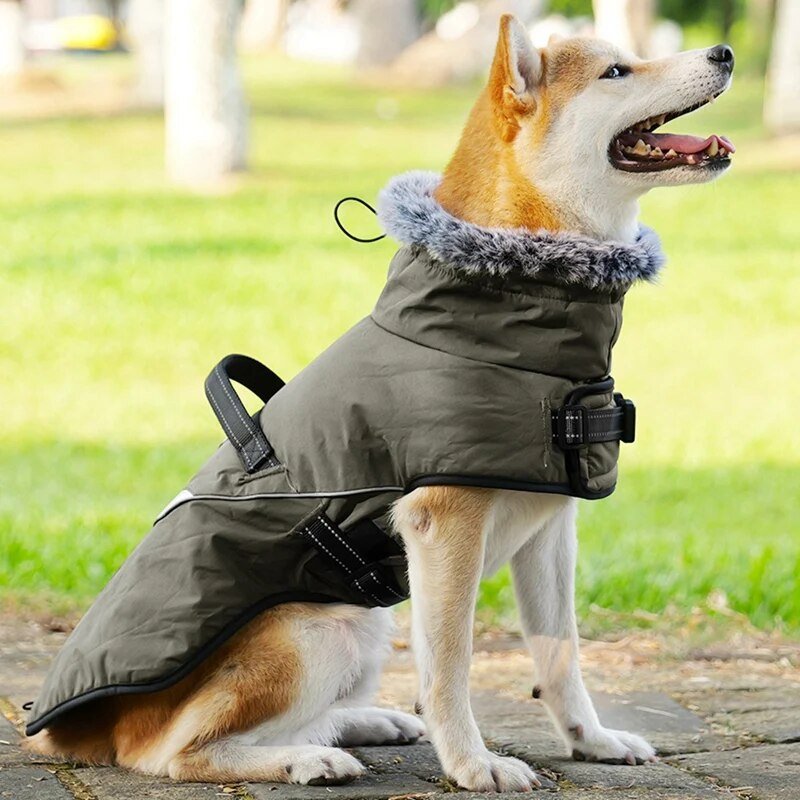 Furry Collar Winter Waterproof Snowproof Windbreaker Harness Coats - Annie Paw WearWinter OutwearAnniePaw Wear