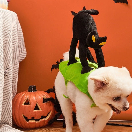 Halloween Black Cat Pet Costume: Funny Dress Up for Small to Medium Dogs and Cats for Holidays - Annie Paw WearcostumesAnniePaw Wear
