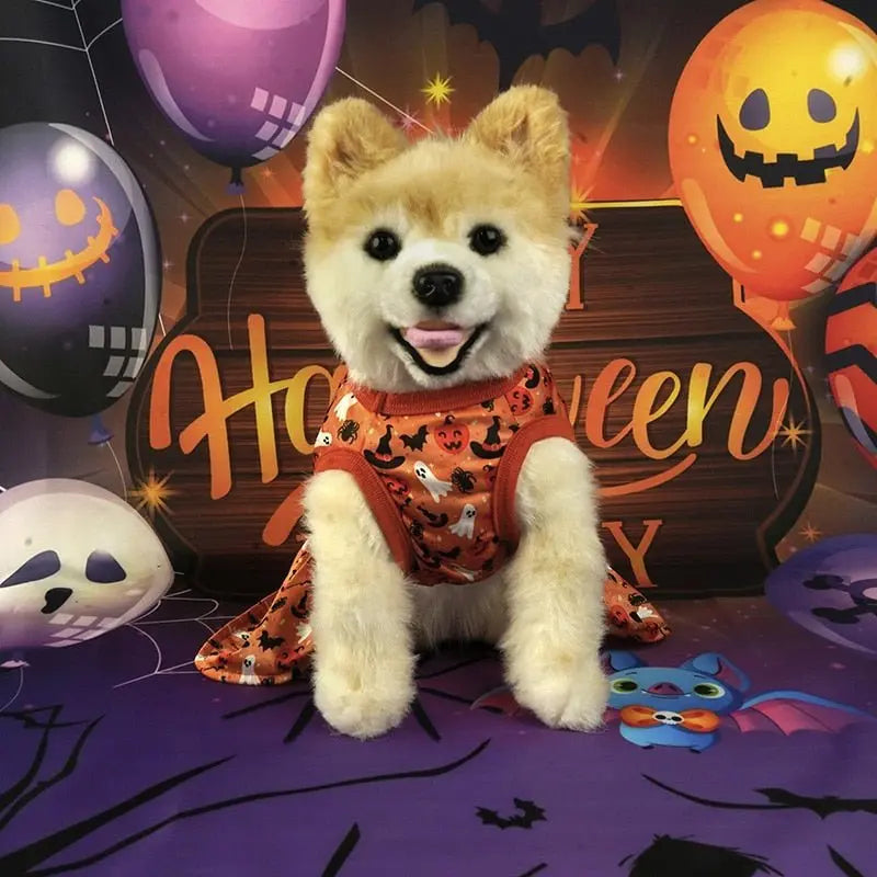 Anniepaw Halloween Pumpkin Dog Dress: Funny Costume Apparel for – AnniePaw