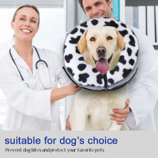 Healing Guard Elizabethan Collar: Gentle Neck Protection for Large Dogs - Annie Paw WearNursing & ReliefAnniePaw Wear