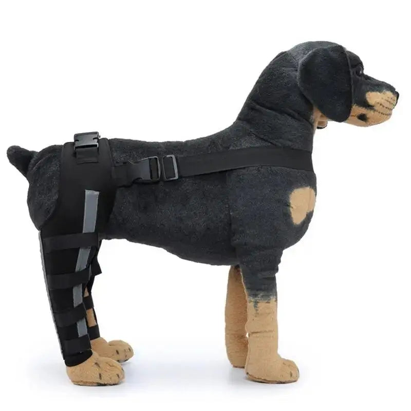 HealPro Comfort Care Leg Brace for Dogs: Joint Support & Mobility Aid - Annie Paw WearNursing & ReliefAnniePaw Wear
