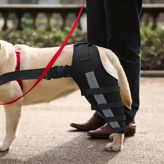 HealPro Comfort Care Leg Brace for Dogs: Joint Support & Mobility Aid - Annie Paw WearNursing & ReliefAnniePaw Wear