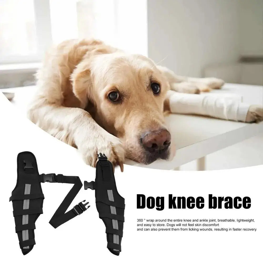 HealPro Comfort Care Leg Brace for Dogs: Joint Support & Mobility Aid - Annie Paw WearNursing & ReliefAnniePaw Wear