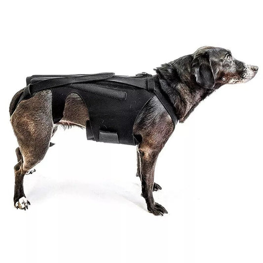 HealPro Dogs Comfort-Back Brace: Quality IVDD Support - Annie Paw WearNursing & ReliefAnniePaw Wear