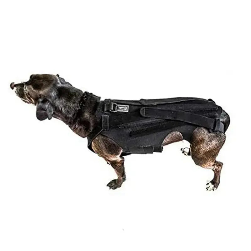 HealPro Dogs Comfort-Back Brace: Quality IVDD Support - Annie Paw WearNursing & ReliefAnniePaw Wear