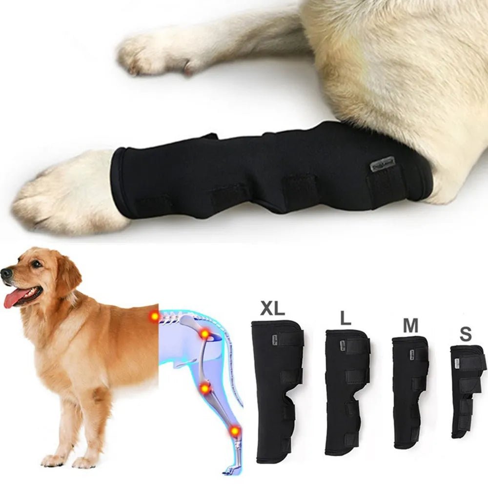 Injury Wrap Protector Dog Support Brace Dog Wrist Guard Legs Protector - Annie Paw WearNursing & ReliefAnnie Paw Wear