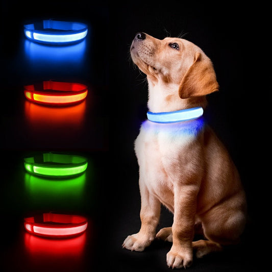 LED Luminous Waterproof Safety Night light Glow Necklace Dog Collar - Annie Paw WearCollar & LeashAnniePaw Wear