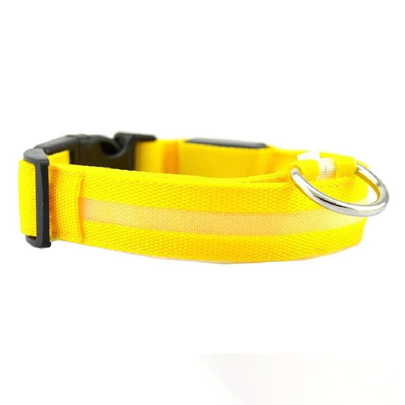 LED Rechargeable Adjustable Night Light Waterproof Glowing Dog Collars - Annie Paw Wear_¨å_AnniePaw Wear