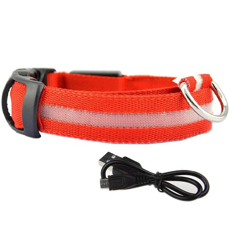 LED Rechargeable Adjustable Night Light Waterproof Glowing Dog Collars - Annie Paw Wear_¨å_AnniePaw Wear