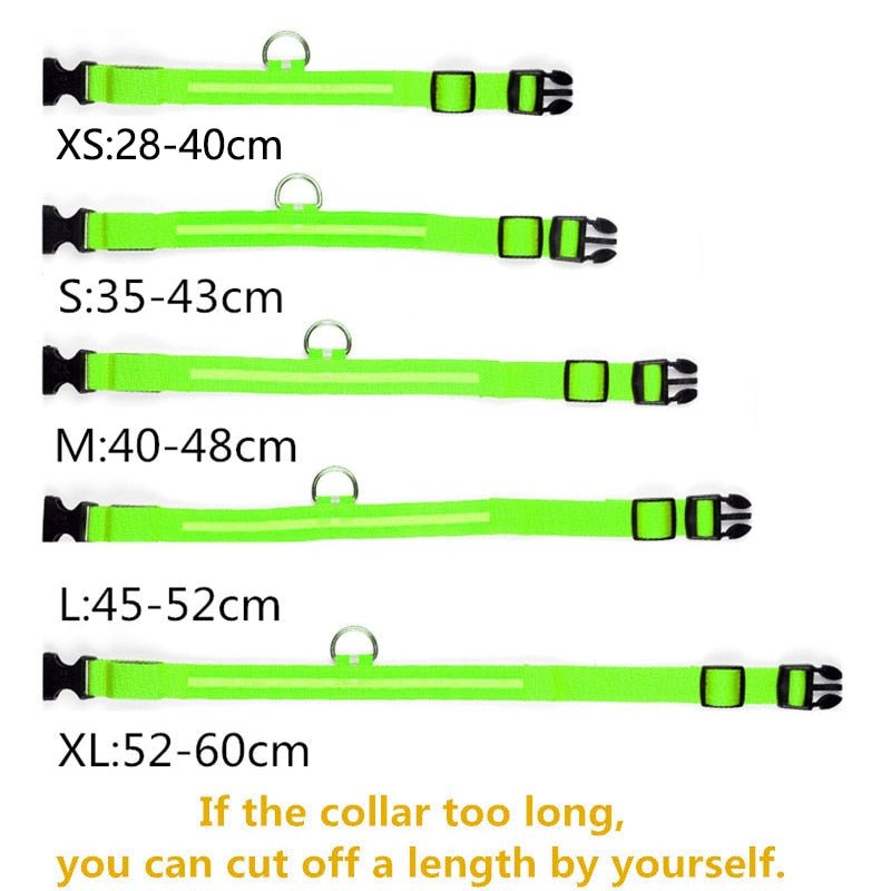 LED Rechargeable Adjustable Night Light Waterproof Glowing Dog Collars - Annie Paw Wear_¨å_AnniePaw Wear