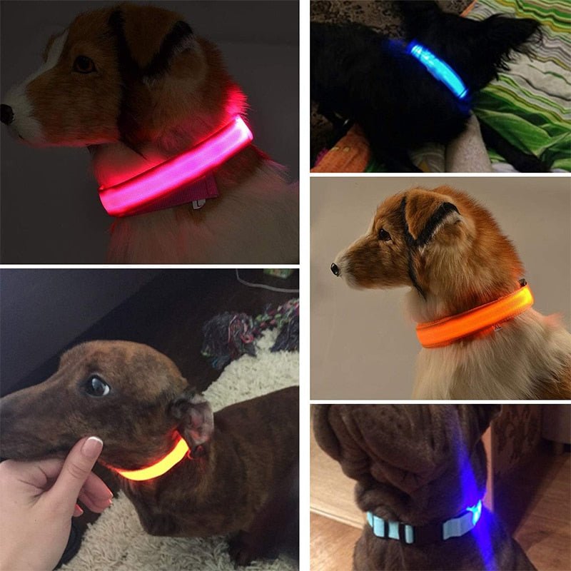 LED Rechargeable Adjustable Night Light Waterproof Glowing Dog Collars - Annie Paw Wear_¨å_AnniePaw Wear