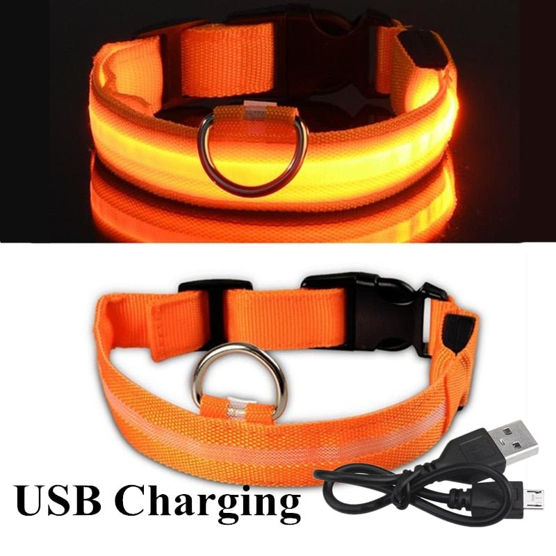 LED Rechargeable Adjustable Night Light Waterproof Glowing Dog Collars - Annie Paw Wear_¨å_AnniePaw Wear