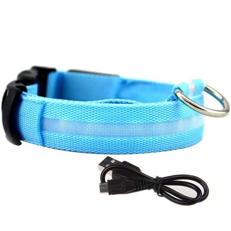 LED Rechargeable Adjustable Night Light Waterproof Glowing Dog Collars - Annie Paw Wear_¨å_AnniePaw Wear