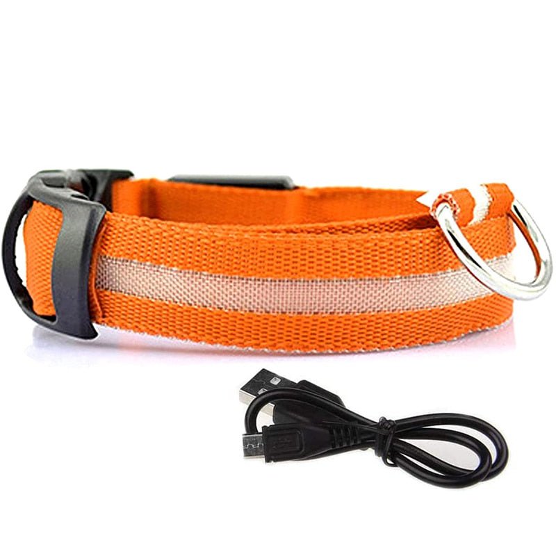 LED Rechargeable Adjustable Night Light Waterproof Glowing Dog Collars - Annie Paw Wear_¨å_AnniePaw Wear