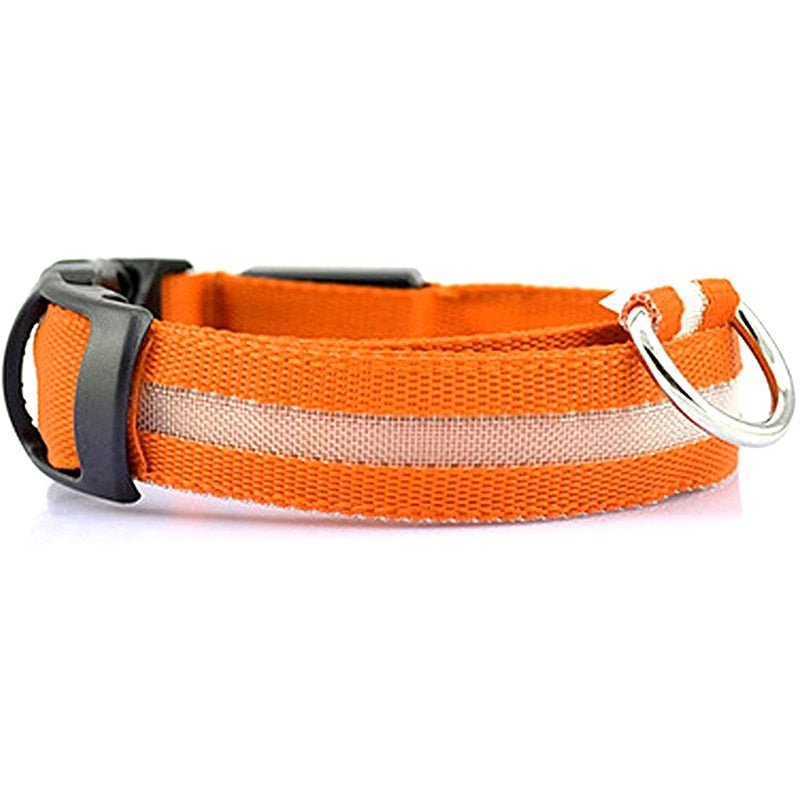 LED Rechargeable Adjustable Night Light Waterproof Glowing Dog Collars - Annie Paw Wear_¨å_AnniePaw Wear